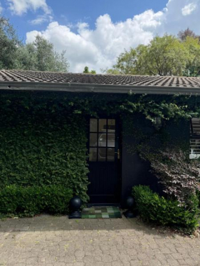 Five Paddocks Tamahere